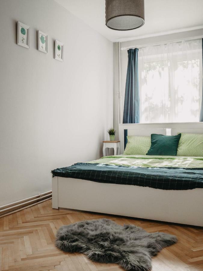 Business And Travel Central Apartment ทิมิชัวรา ภายนอก รูปภาพ